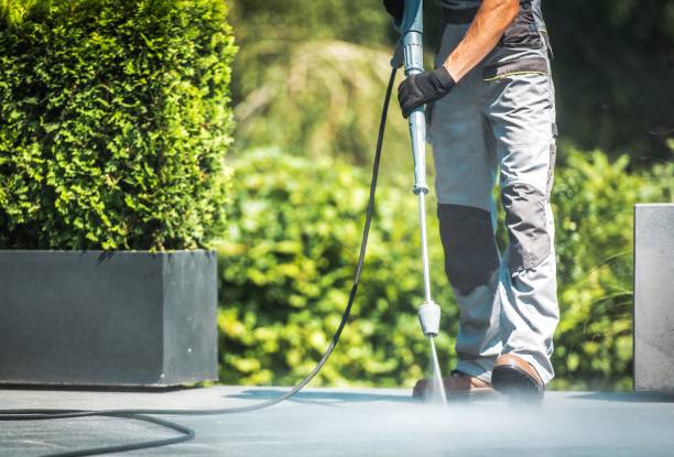 Best Spring Cleaning  in Bostonia, CA