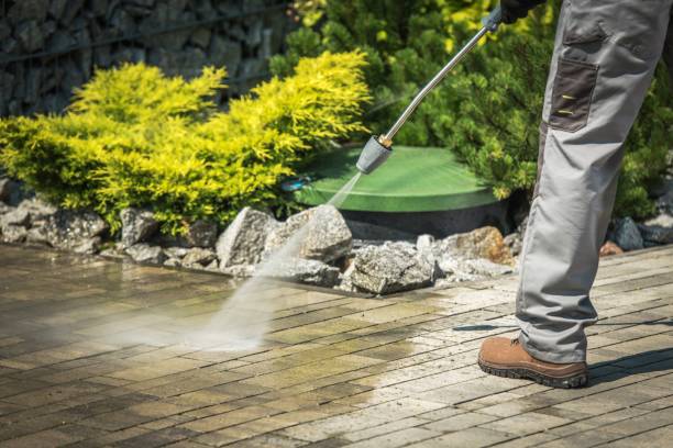 Best Animal Enclosure Cleaning  in Bostonia, CA